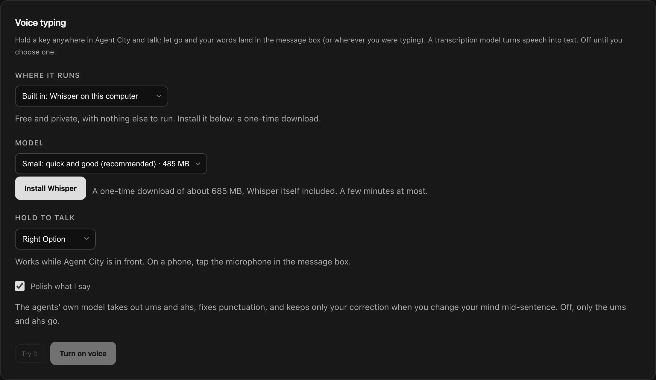 Settings, Voice typing